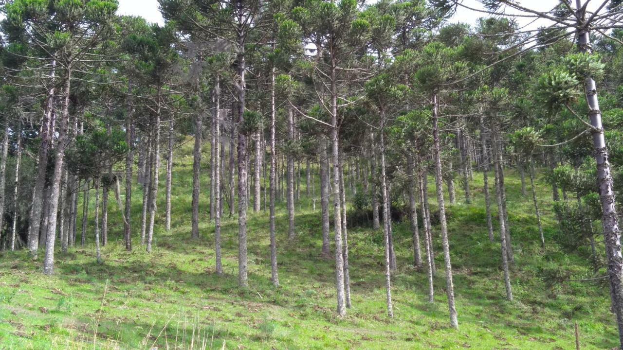 Quinta Da Serra * Urubici